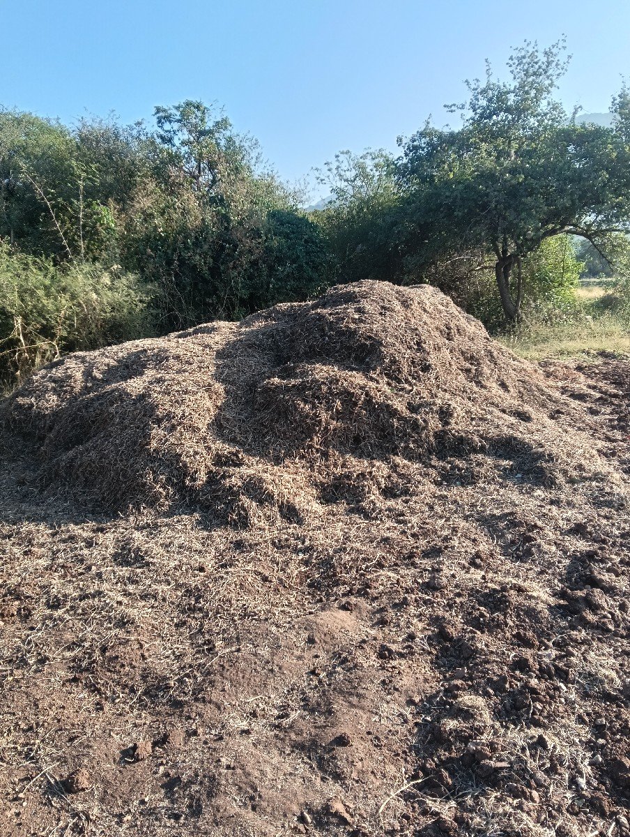 માંડવી નુ મગોટુ વેશ વાનું સે