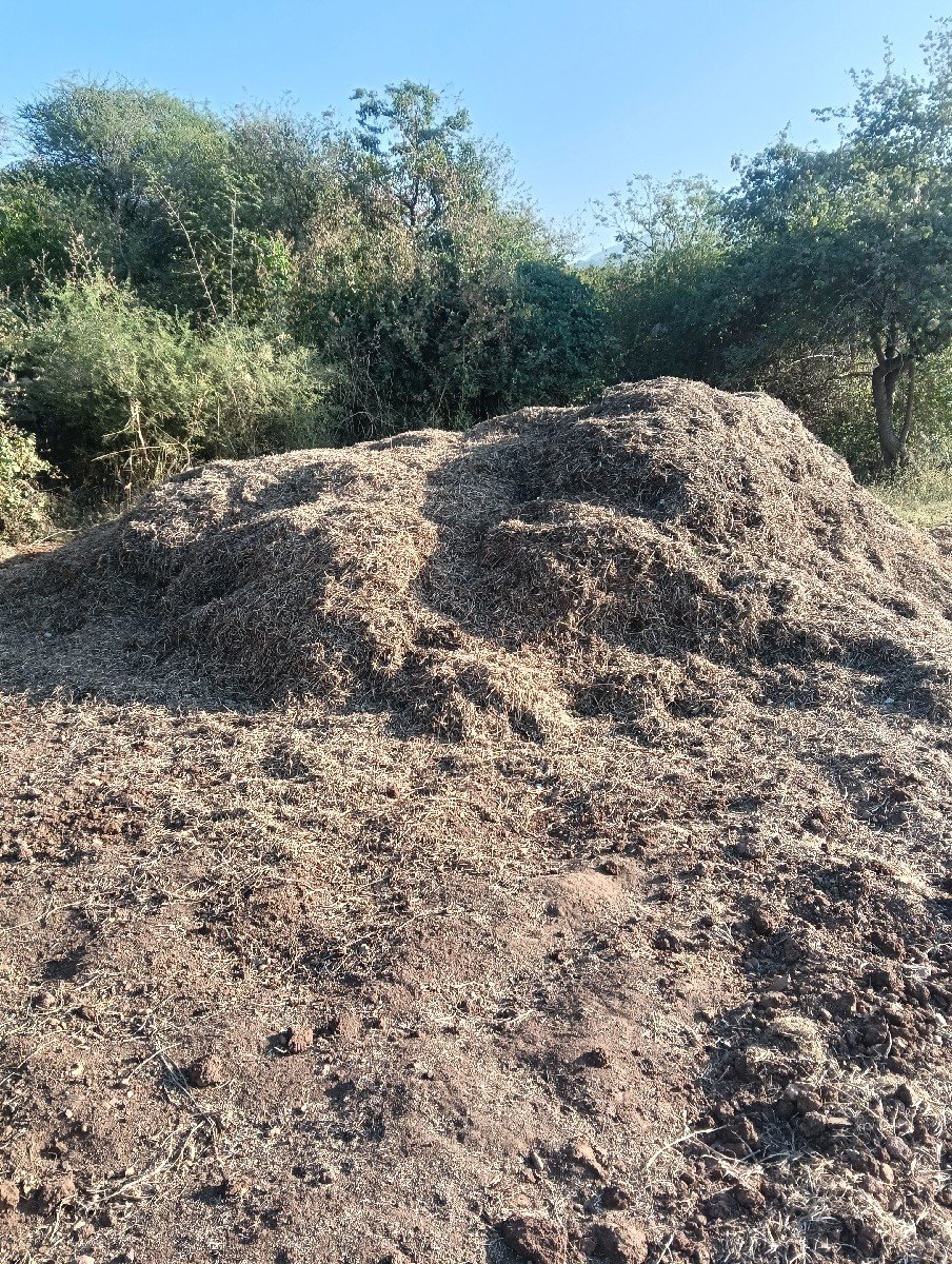 માંડવી નુ મગોટુ વેશ વાનું સે