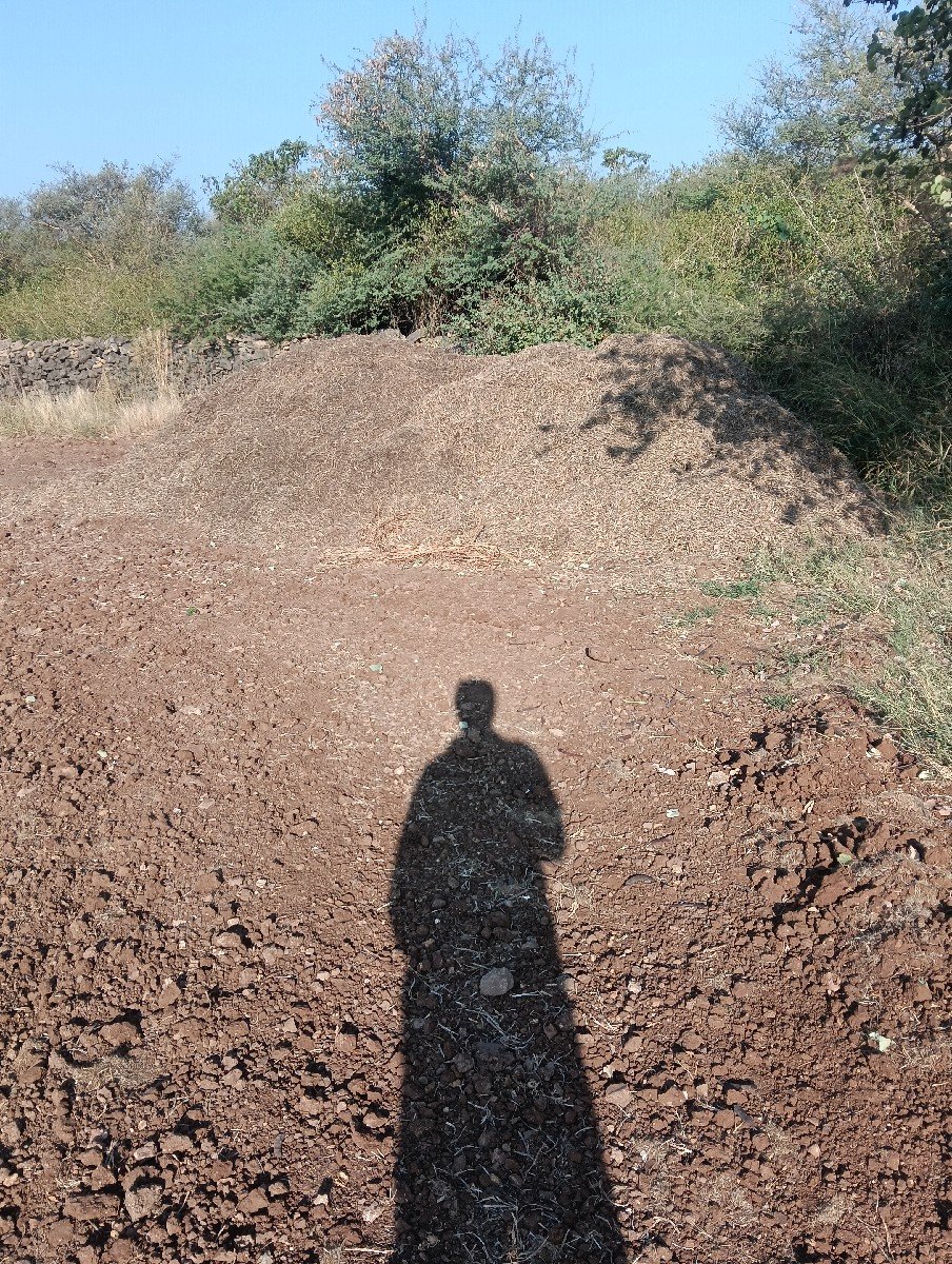 માંડવી નુ મગોટુ વેશ વાનું સે