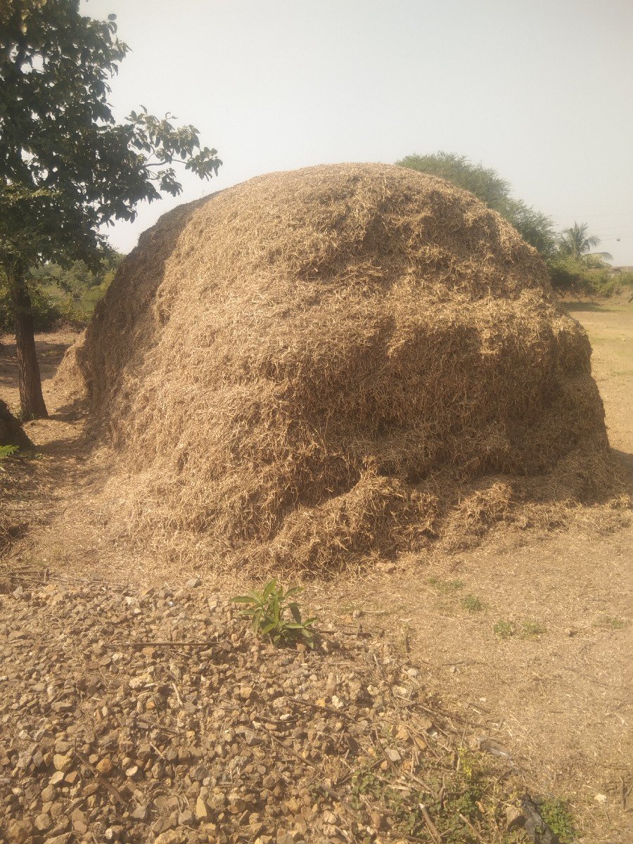 માંડવીનો ભૂકો વેચવાનો છે.