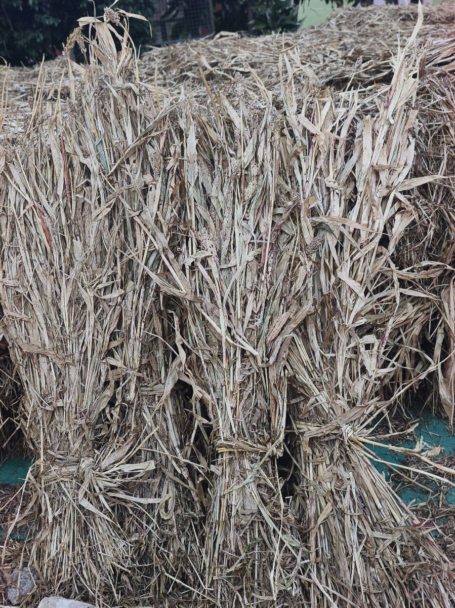 સાર વેચવાની છે