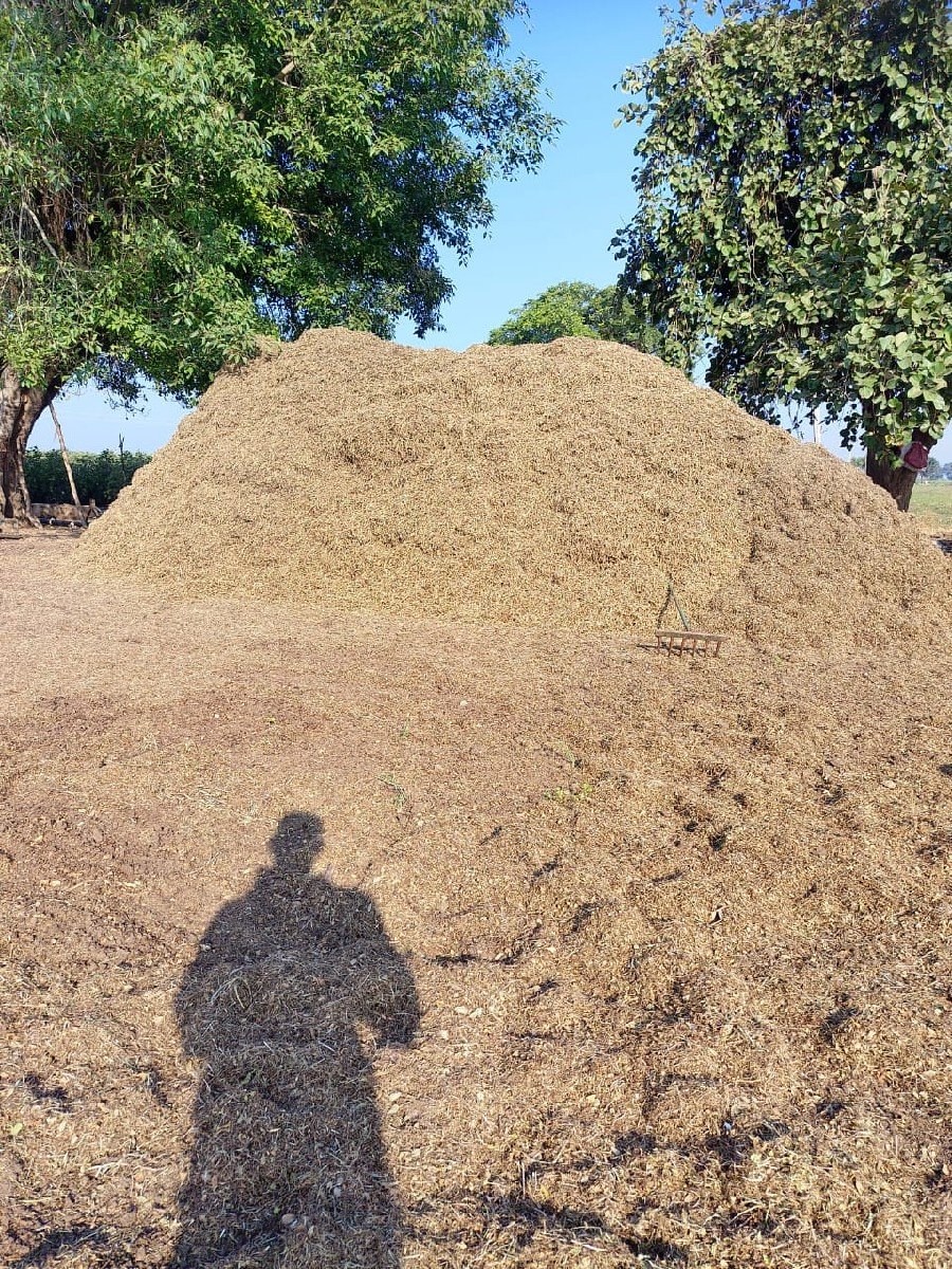 લીલવણી ભુકો વેચવાનો છે