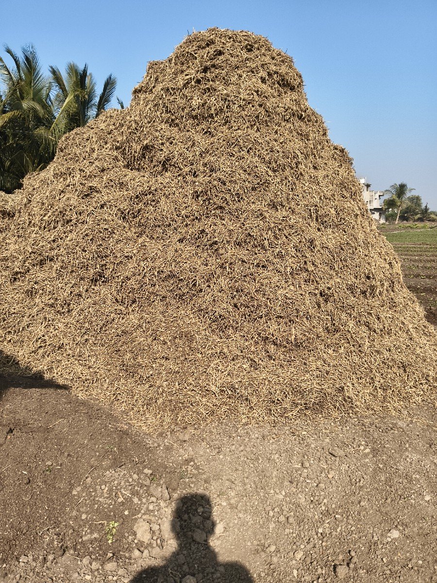 માંડવીયુ વેચવાનું છે
