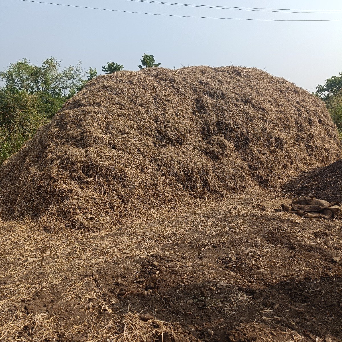 માંડવી નો ભૂક્કો વેચવાનો છે