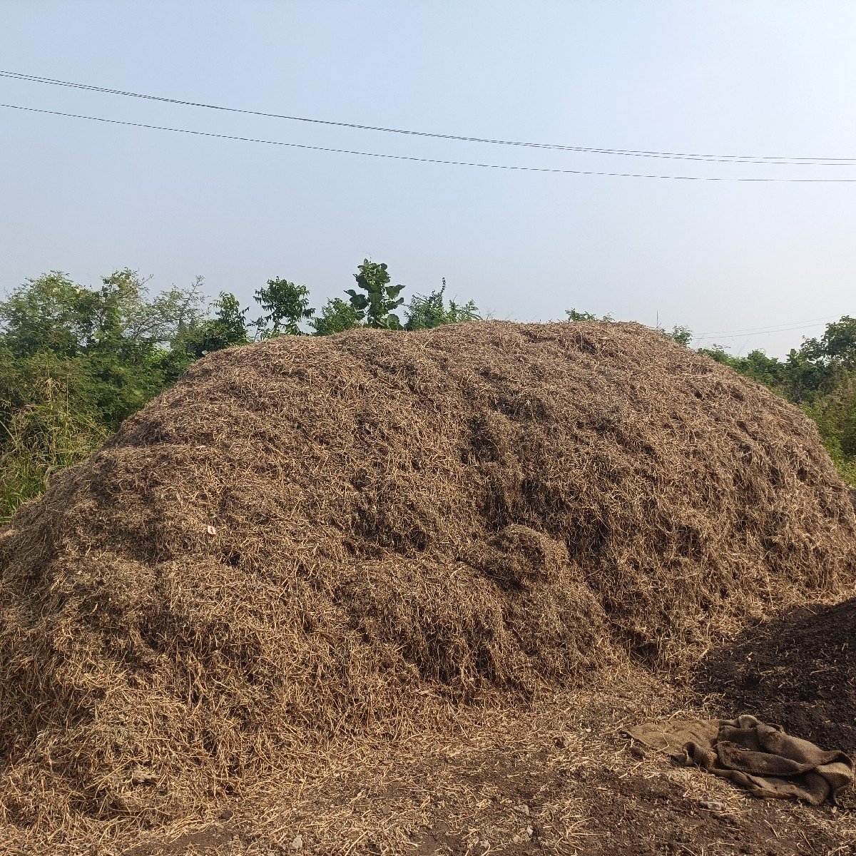 માંડવી નો ભૂક્કો વેચવાનો છે