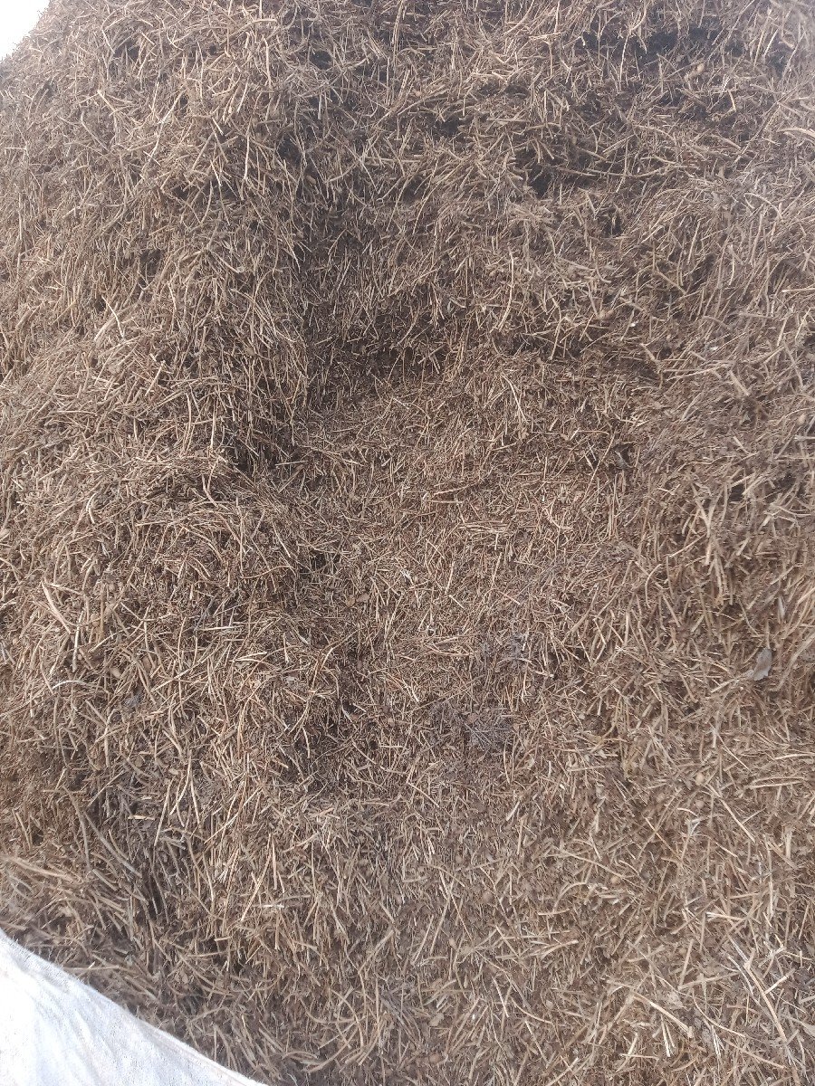 ભુકો