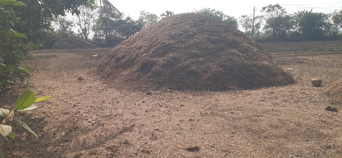 ભૂકો