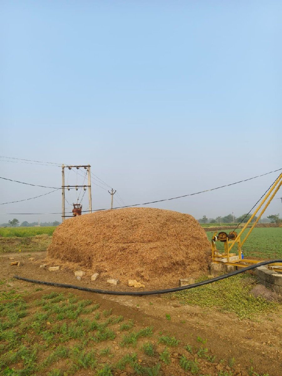 જેવીસ નો કોરો ચારો વેચવાનો છે