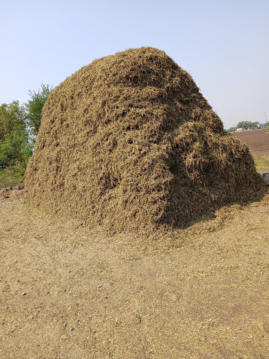 ભૂકો (પાલો) વેચવાનો છે