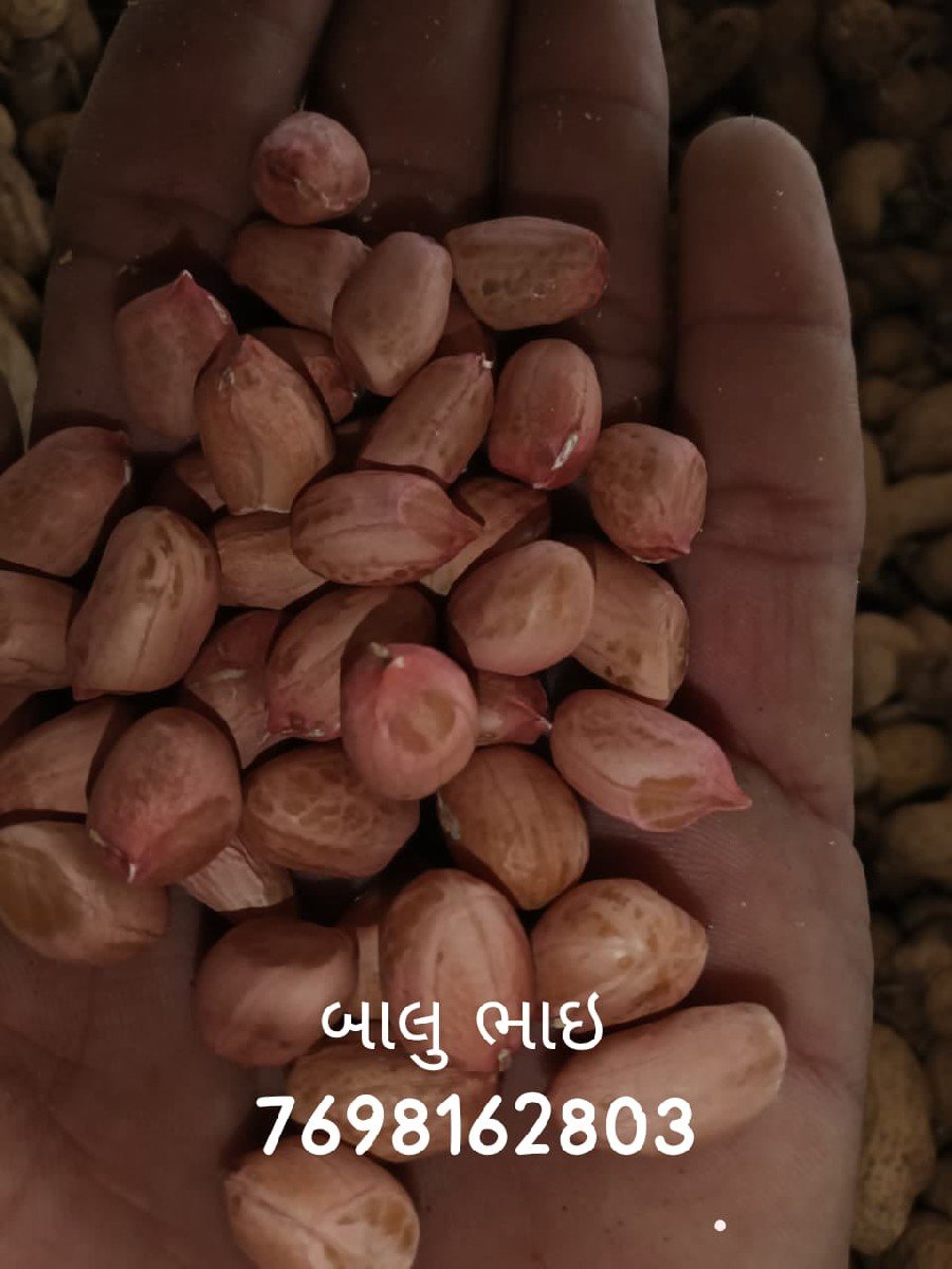 બિયારણ માટે મગફળી વેચવાની છે
