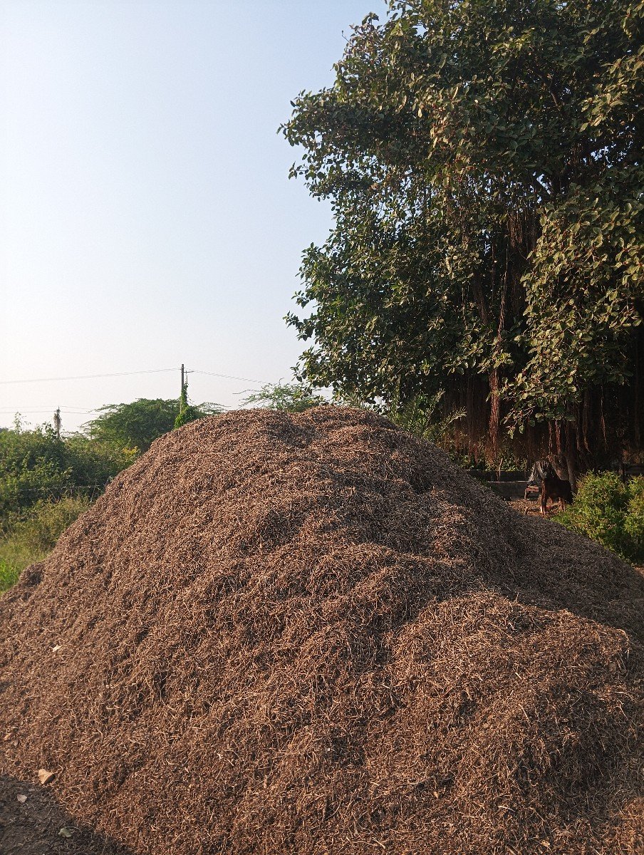 મગોટુ વેચવાનું હૈ
