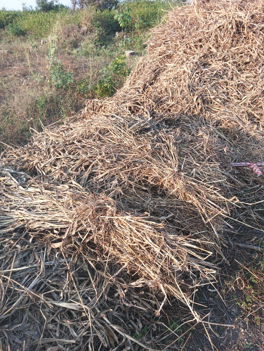 સાર વેશવાની છે