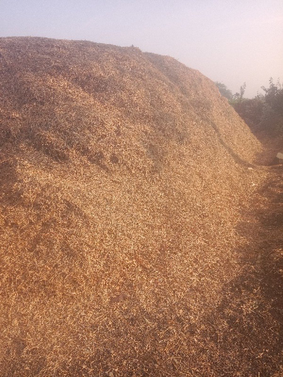 માંડવી ભુકો વેચવાનો છે