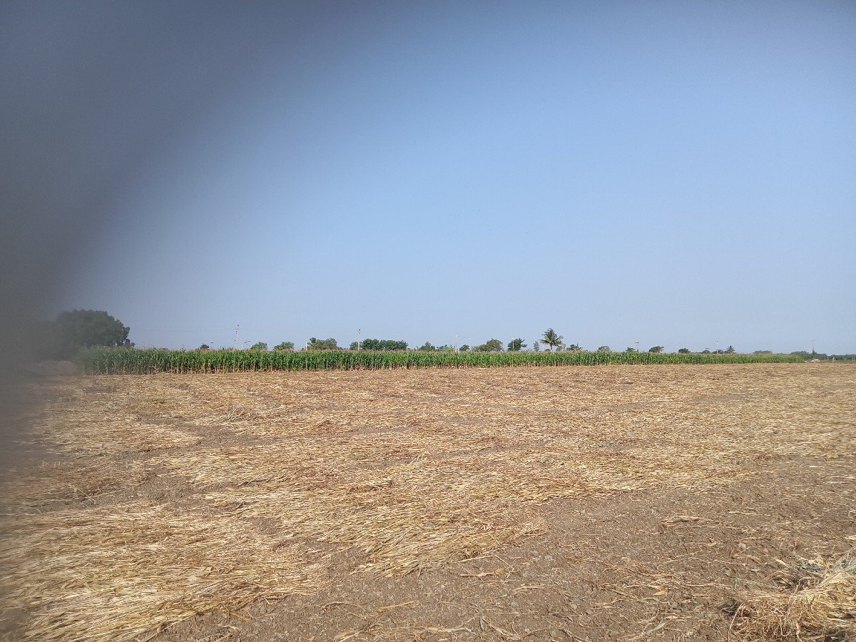 નીરણ વેચવાની છે