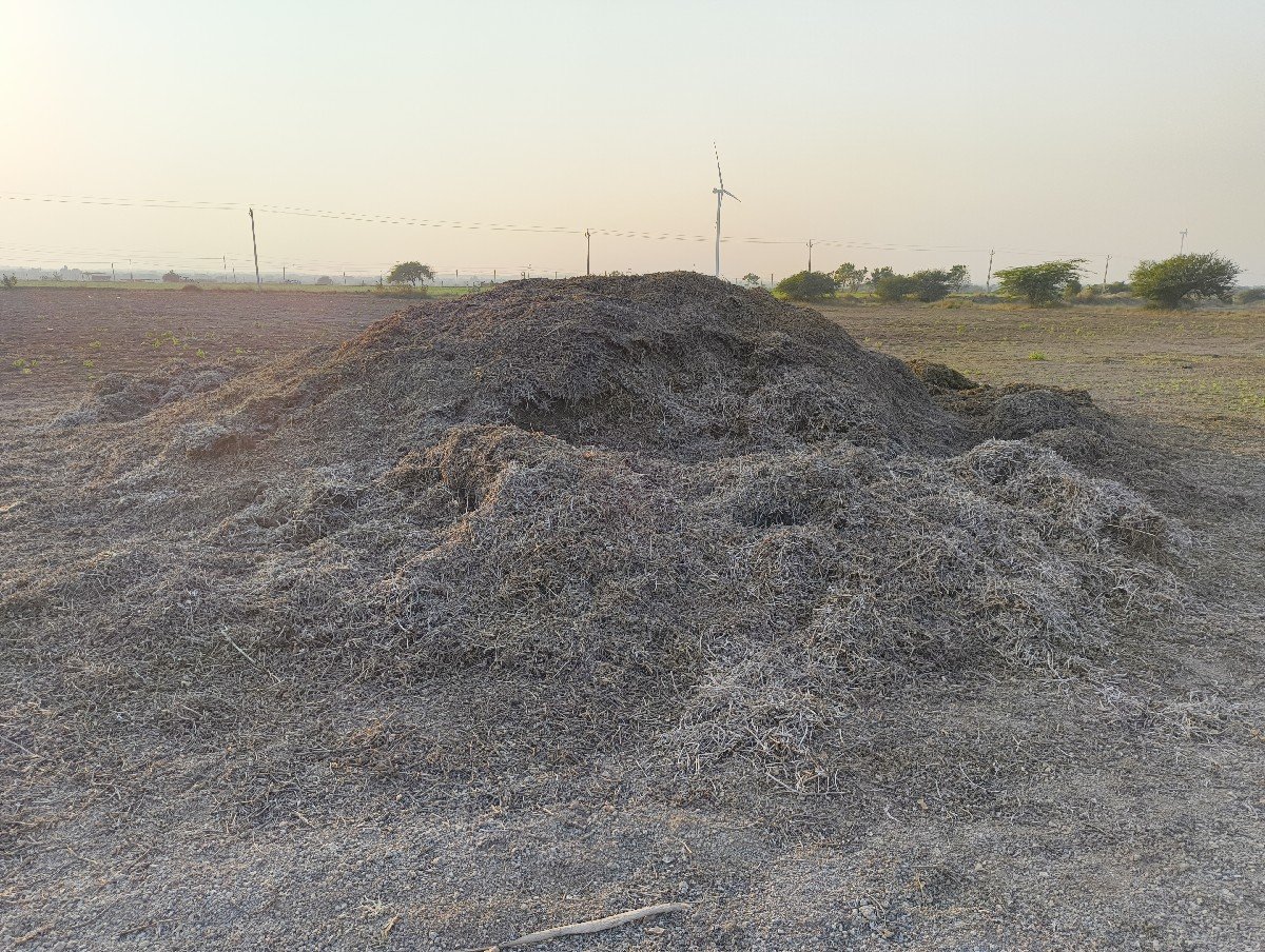 મગફળી નો ભૂકો/પાલો