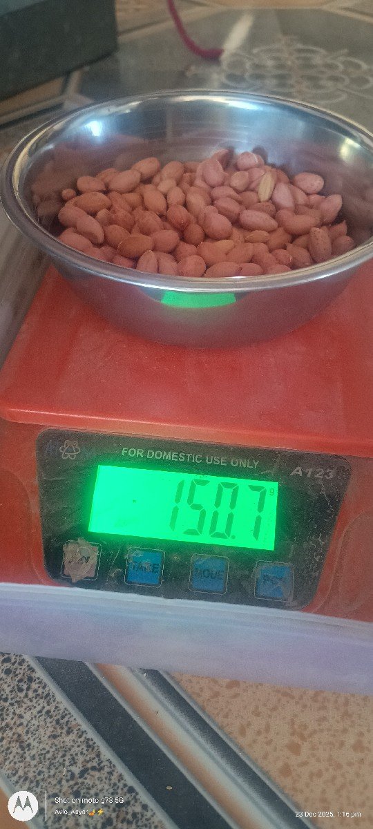 બિયારણ વેચવા નું છે