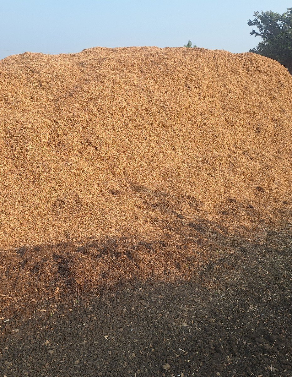 mandvyu