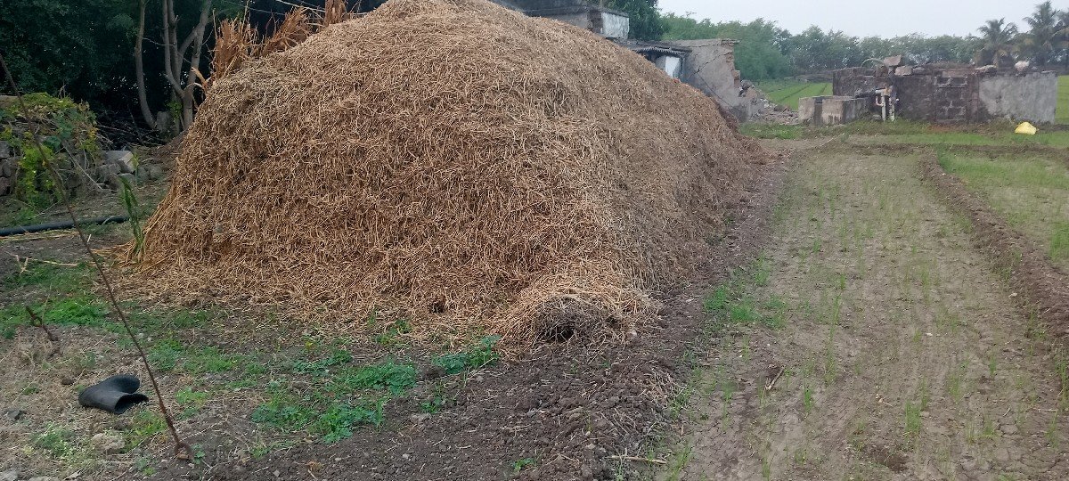 જી વીસ કોરો માંડવી પાલો