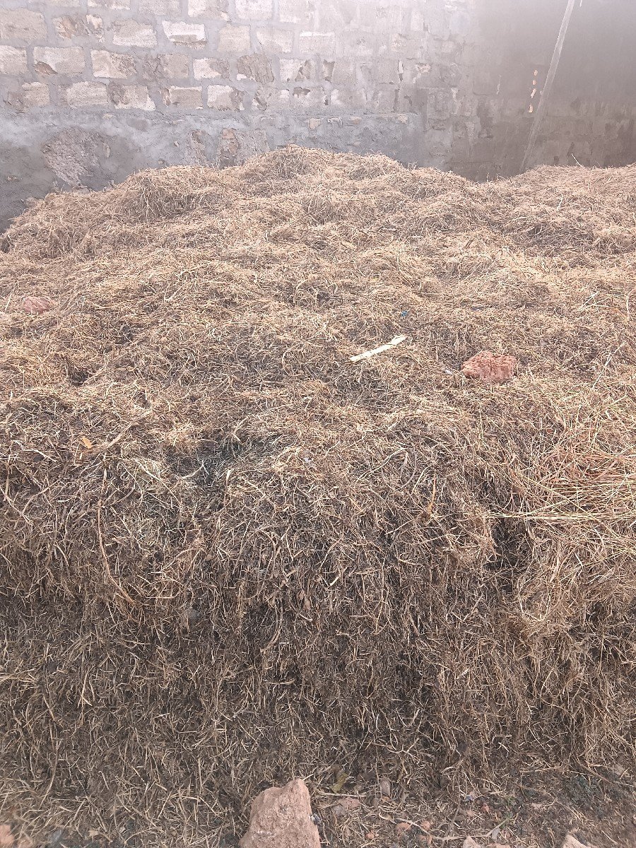 માંડવીયુ વેચવાનું છે