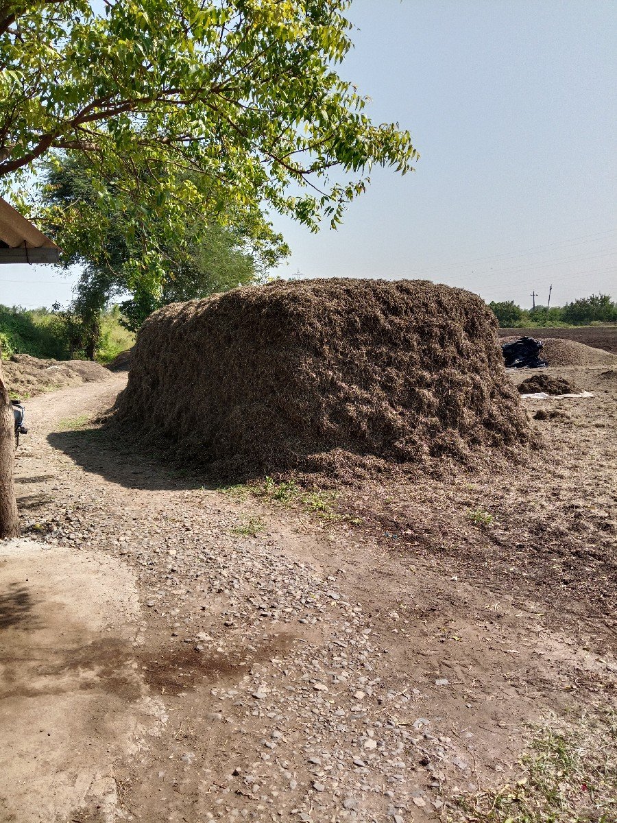 માંડવી નો ભૂકો વેચવા નો છે
