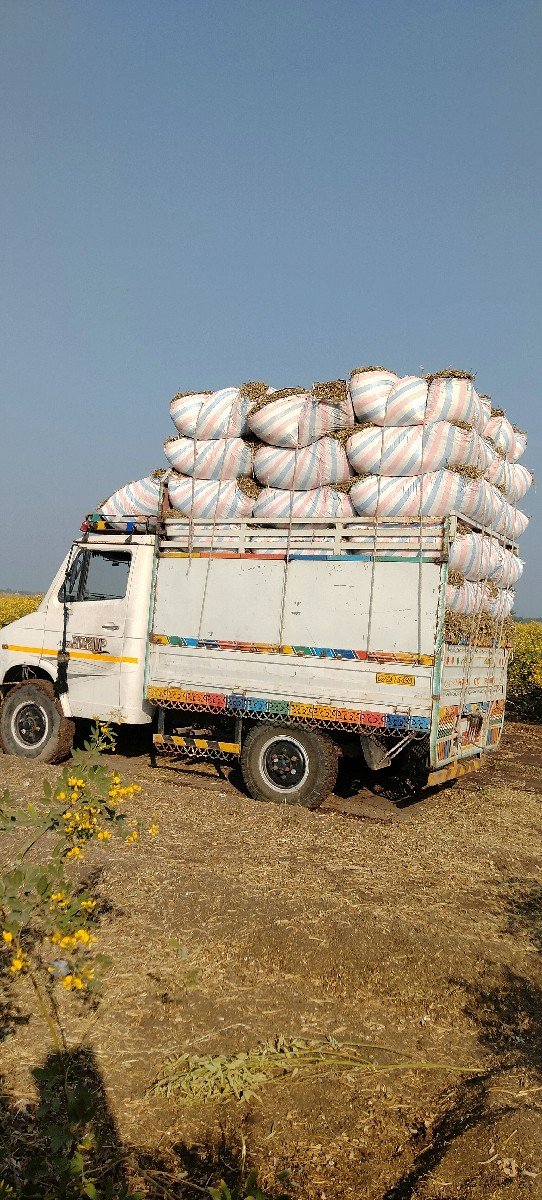 મગફળી નો પાલો લેવા માટે મળો