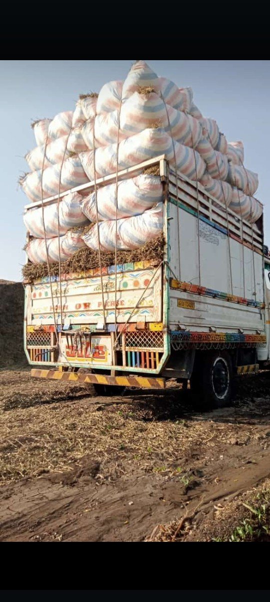 મગફળી નો પાલો લેવા માટે મળો