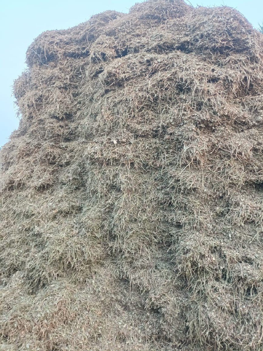 માડવી નૉ ભુકૉ