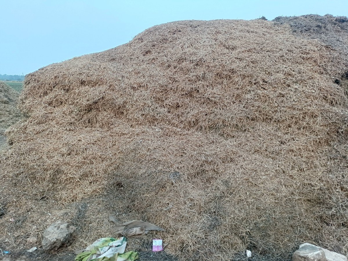 ભૂકો વેચવાનો છે