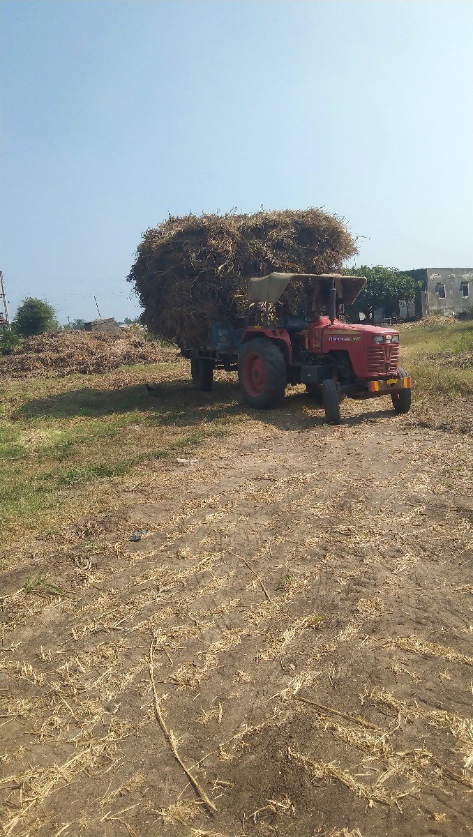 જુવાર ની નીરણ વેસવા ની છે