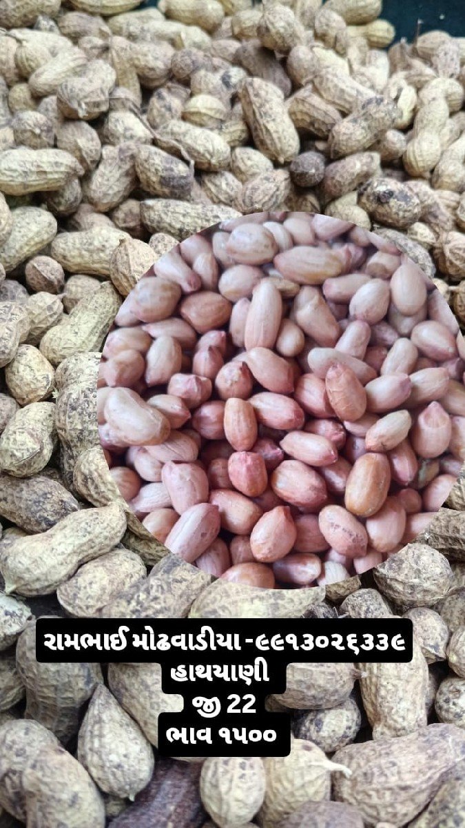 જી 22