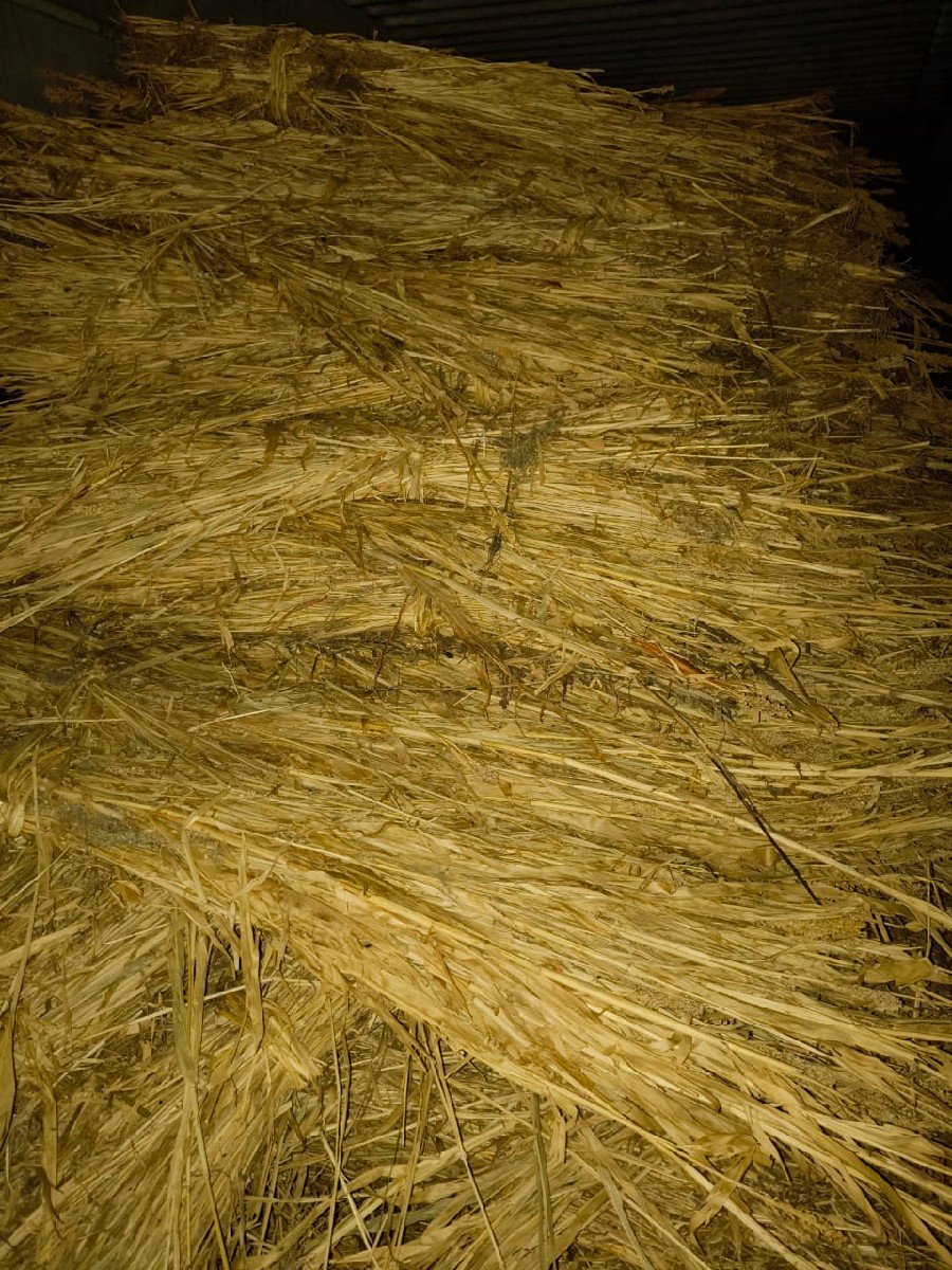 નીરણ વેચવાની છે