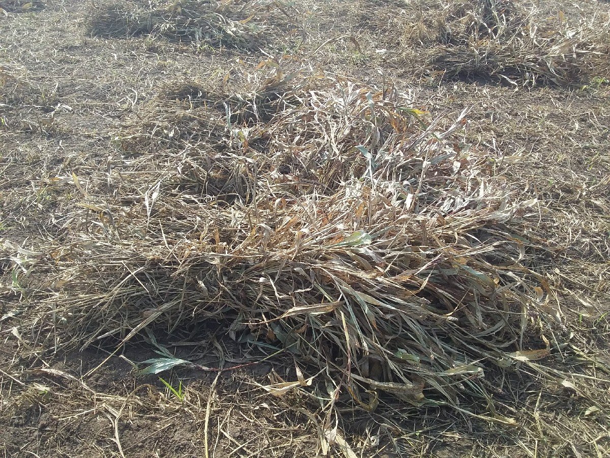 સાર  વેચવાની  છે