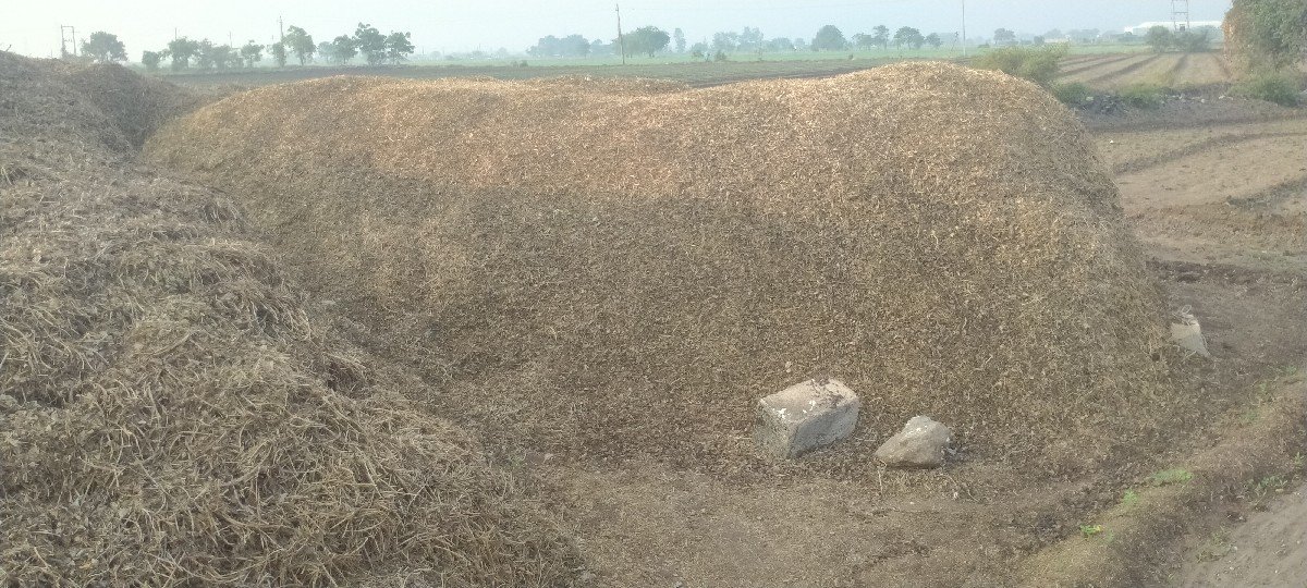 મગફળી નૉ પાલો વેચવાનો છે