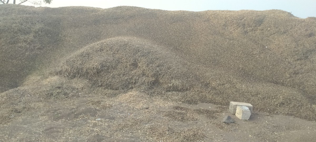 મગફળી નૉ પાલો વેચવાનો છે