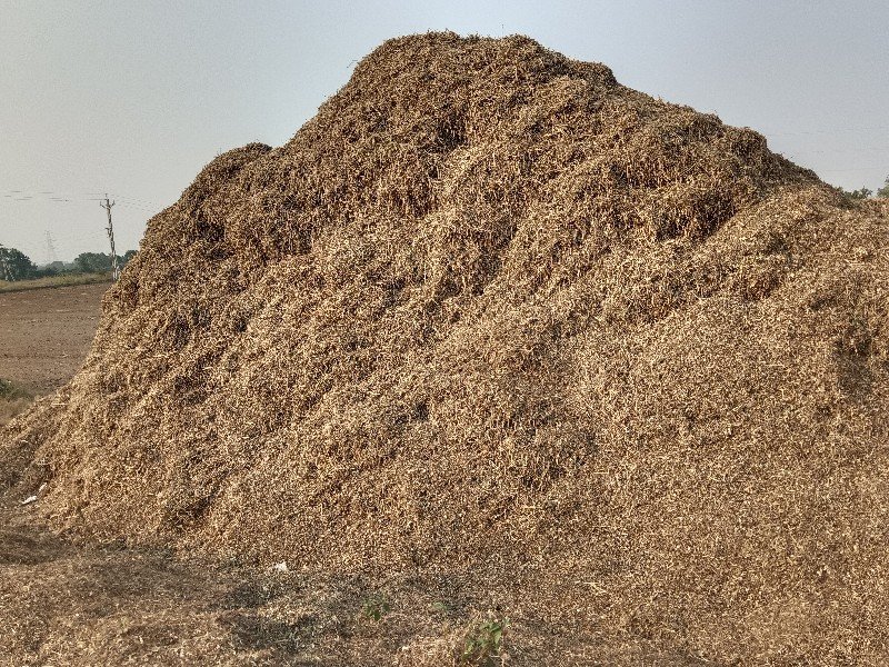 માનડવી નો ડુસો કોરો