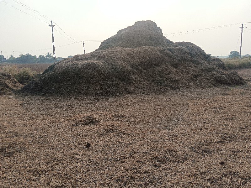 માનડવી નો ડુસો કોરો