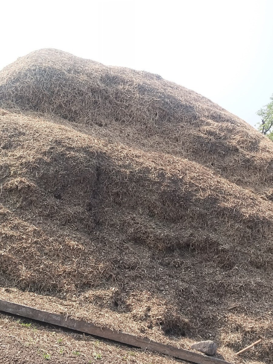 માંડવી નો ભૂકો વેચવા નો છે,
