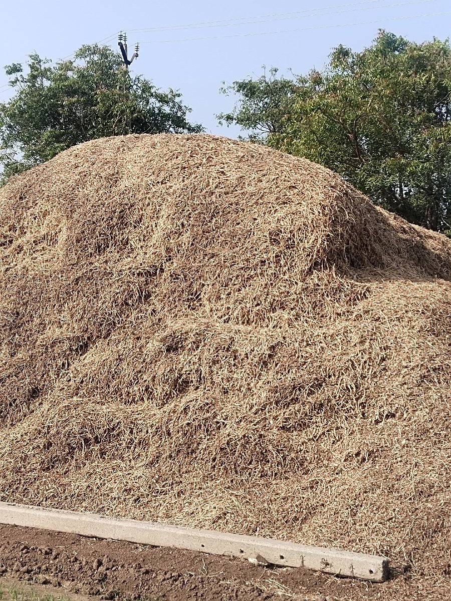 માંડવી નો ભૂકો વેચવા નો છે,