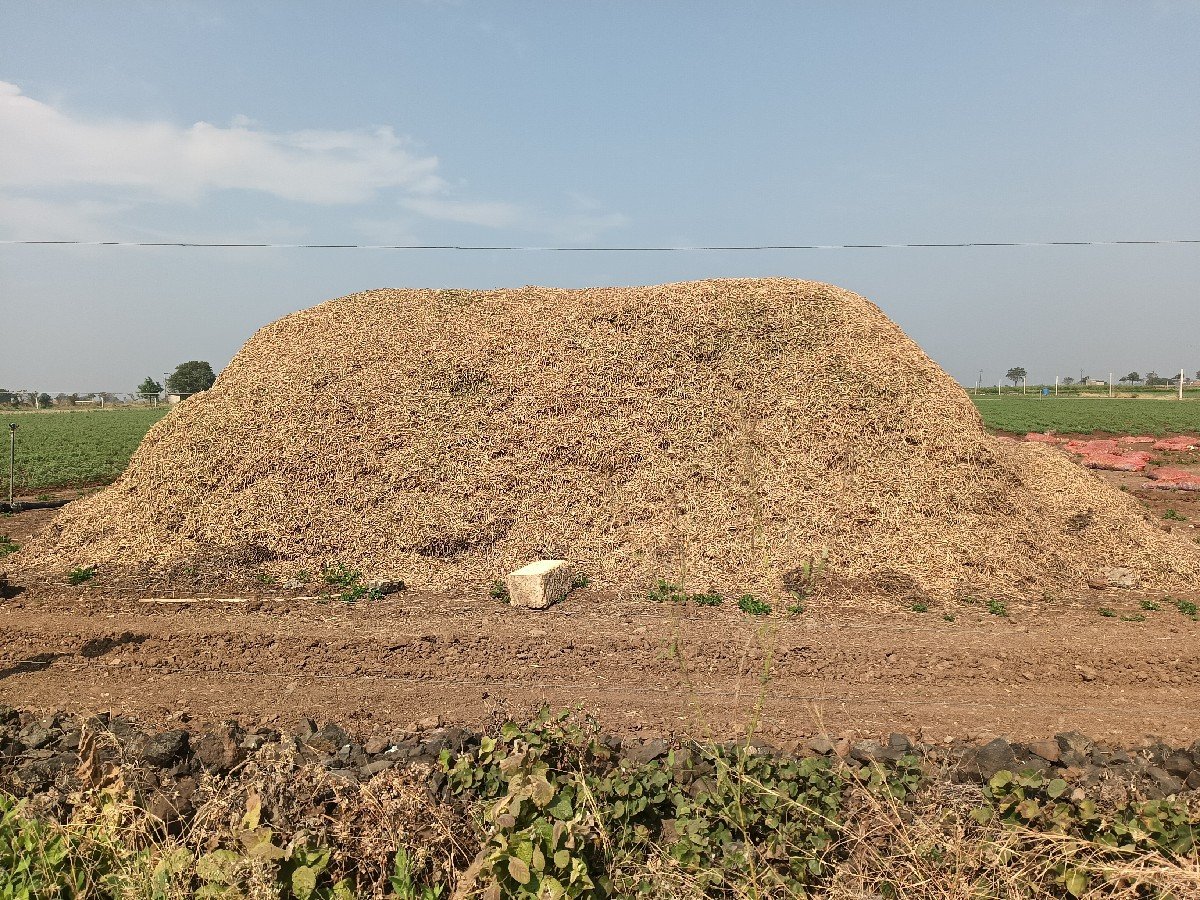 માંડવિયુ