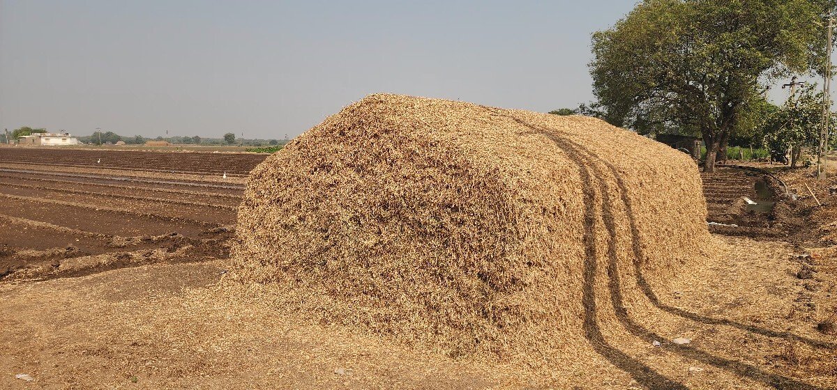 15 વીઘા નો કોરો ભૂકો