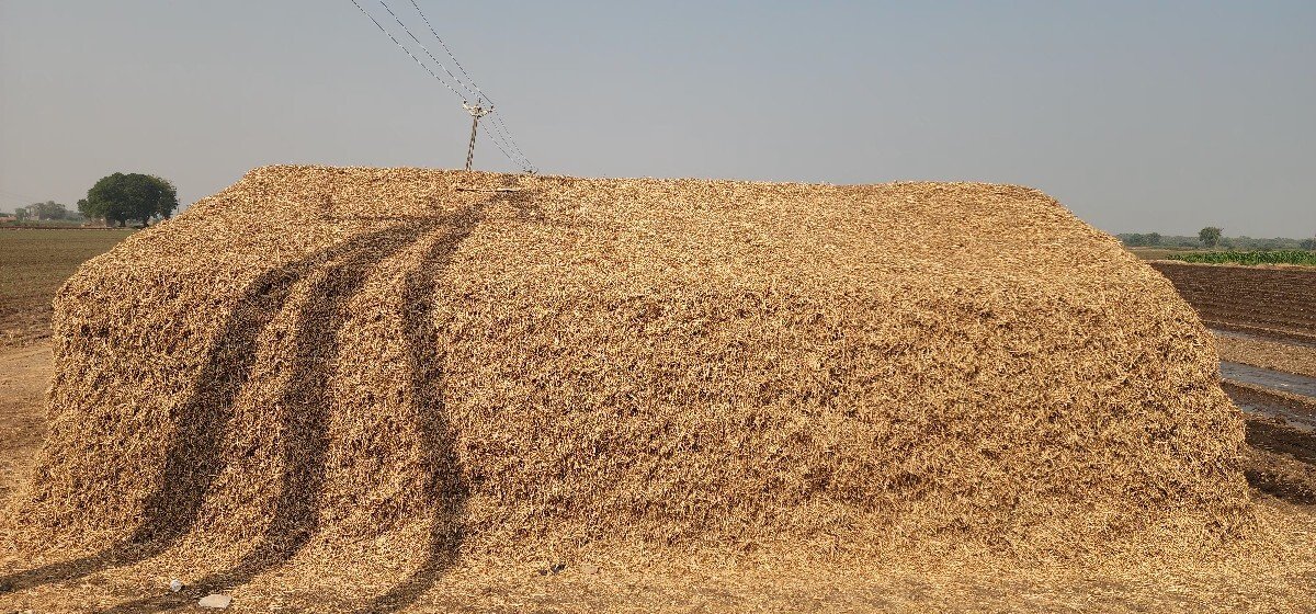 15 વીઘા નો કોરો ભૂકો