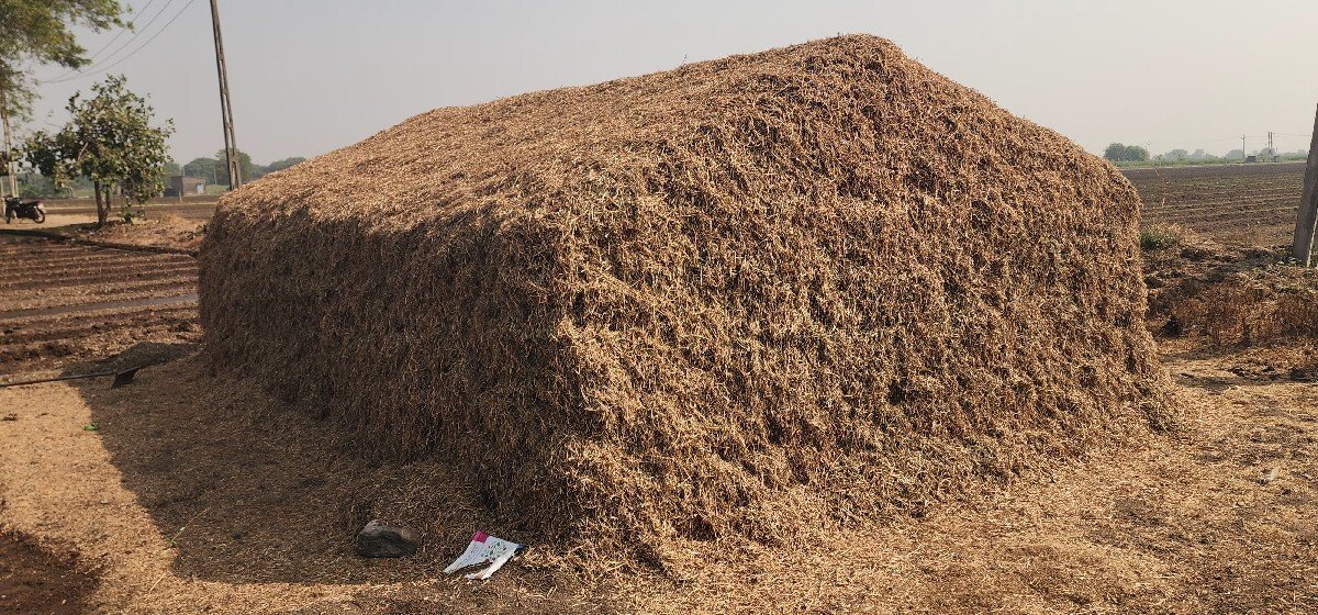 15 વીઘા નો કોરો ભૂકો