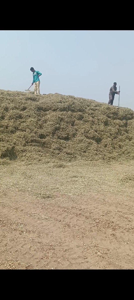 હેભા ભાઈ ચાવડા. બતડીયા.
G.