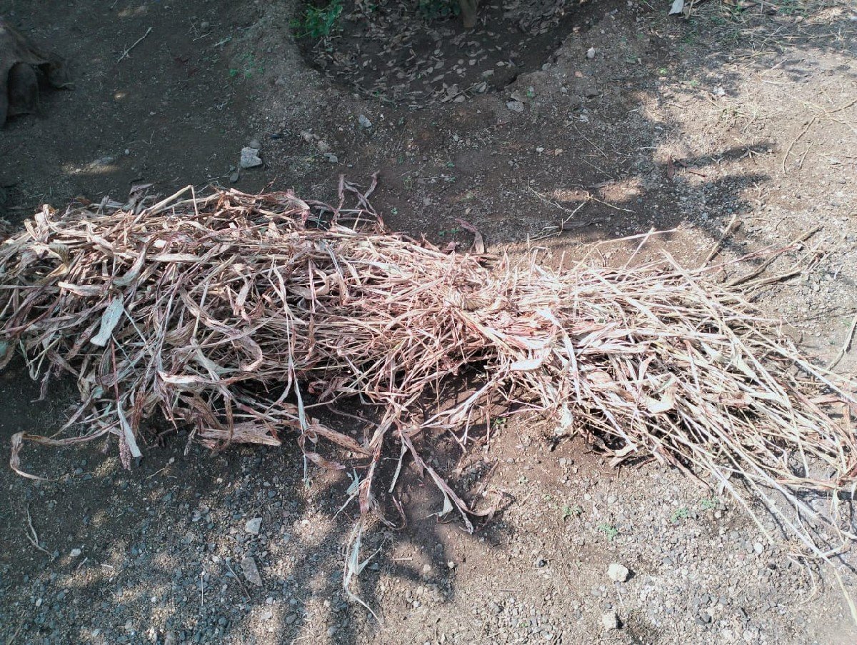suki juvar na pura devana che