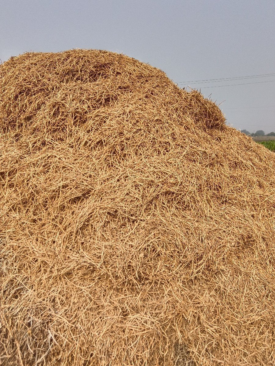 ભૂકો (પાલો) વેચવાનો છે