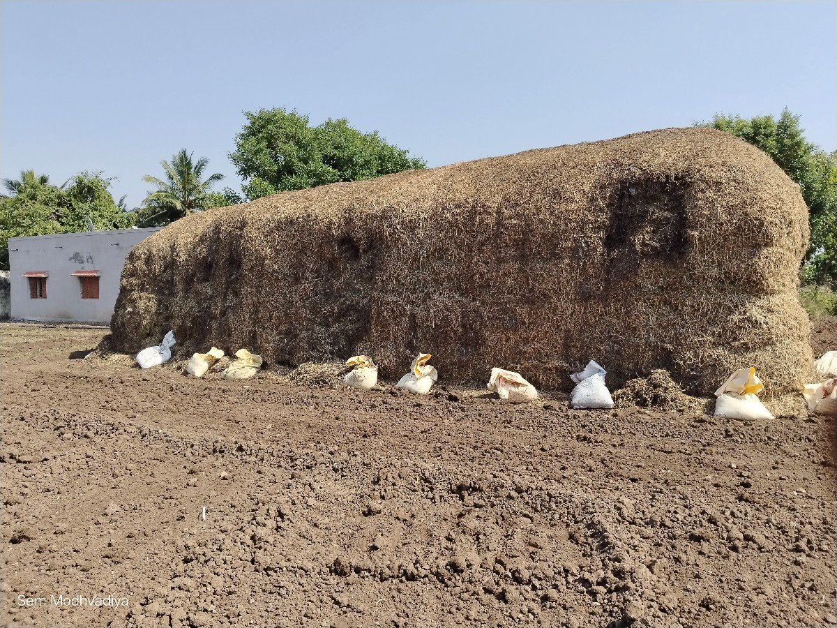 ભૂકો (પાલો) વેચવાનો છે
