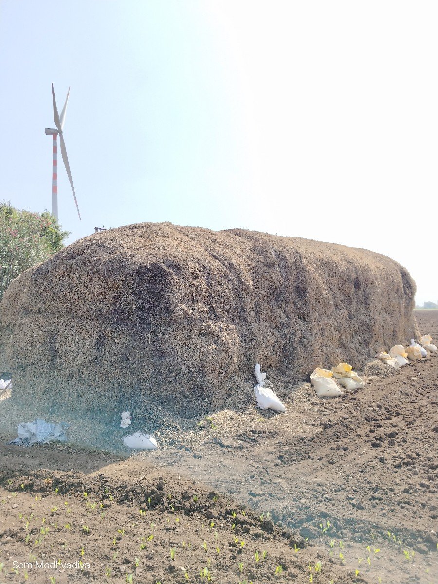 ભૂકો (પાલો) વેચવાનો છે