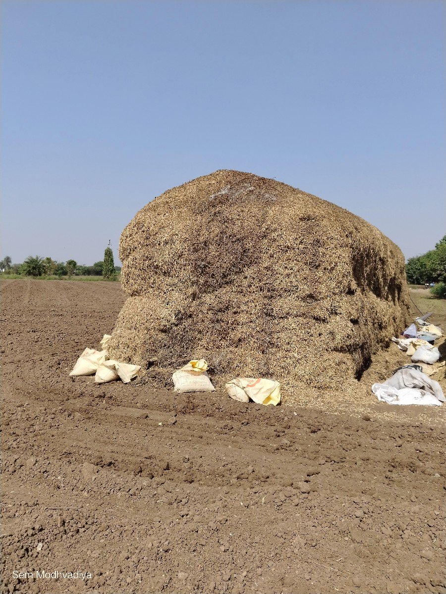 ભૂકો (પાલો) વેચવાનો છે