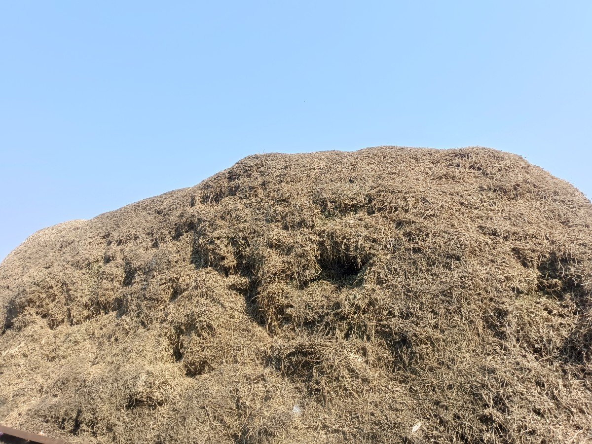 ભૂકો વેચવાનો છે