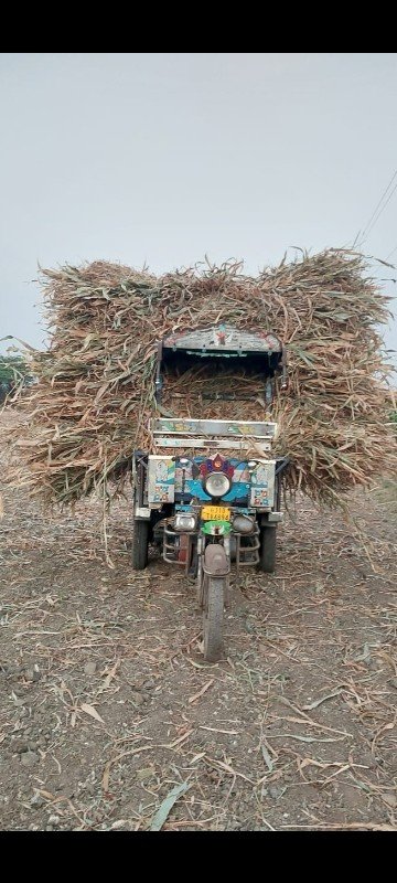 હાલો    હાલો મારા     વાલા નીરણ